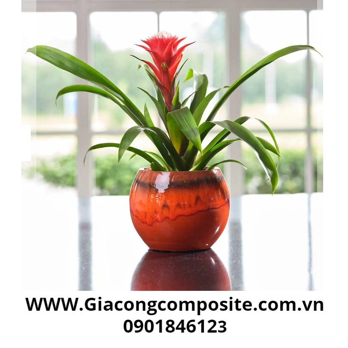 chậu hoa composite mang giá trị kinh tế cao 5267 - Chậu hoa composite cao cấp mang giá trị kinh tế cao D25*H30cm